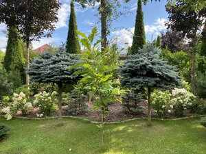 IMG_0220.jpeg