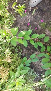 20240806_160213.jpg
