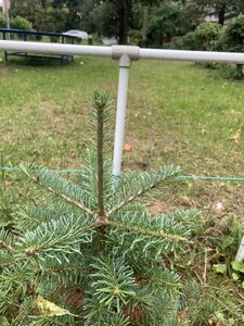 IMG_1199.jpeg