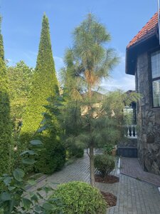 IMG_0753.jpeg