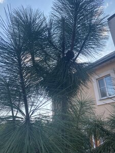 IMG_0749.jpeg