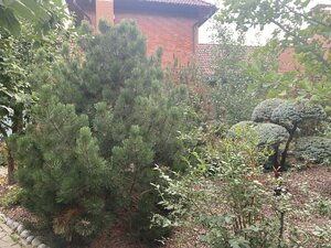 IMG_0741.jpeg