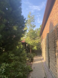 IMG_0746.jpeg