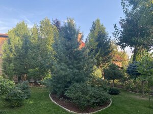 IMG_0755.jpeg