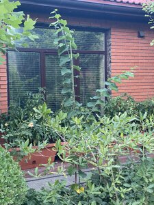 IMG_0768.jpeg