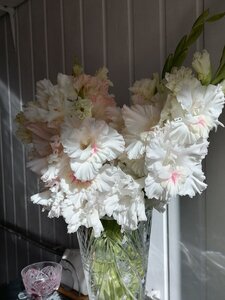 IMG_20240808_085205.jpg