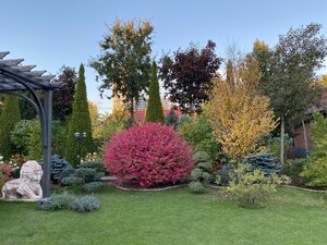 IMG_1021.jpeg