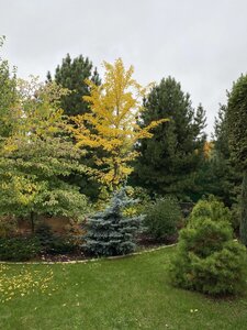 IMG_0961.jpeg