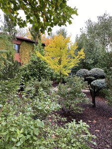 IMG_0963.jpeg