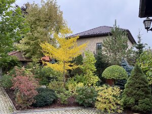 IMG_0959.jpeg