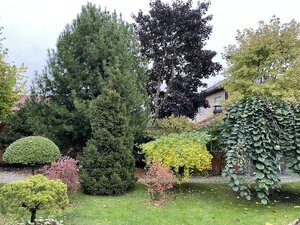 IMG_0966.jpeg