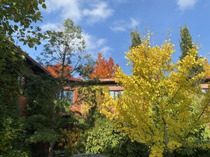IMG_0984.jpeg