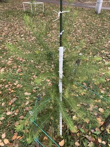 IMG_2619.jpeg