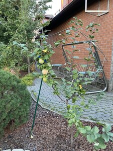 IMG_1019.jpeg