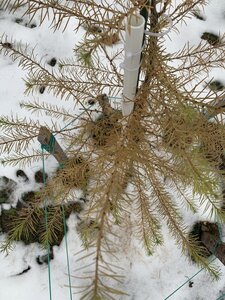 IMG_3332.jpeg