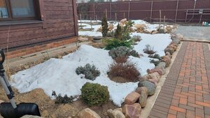 20250125_124040.jpg
