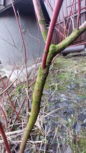 20250131_094641.jpg