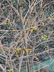 IMG_4116.jpeg