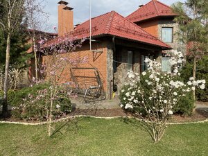 IMG_4238.jpeg