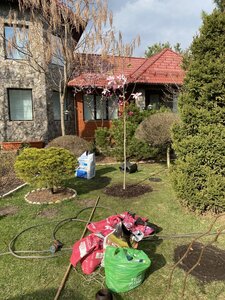 IMG_4243.jpeg