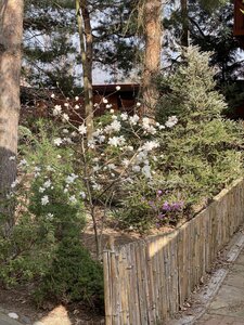 IMG_4230.jpeg