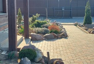 20250422_075016.jpg