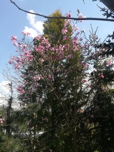 IMG_20250422_141758.jpg