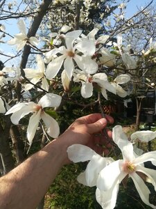IMG_20250422_141833.jpg