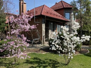 IMG_4267.jpeg