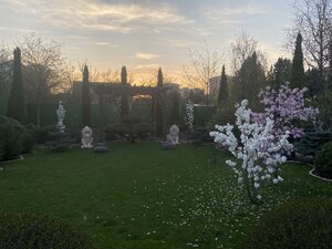 IMG_4300.jpeg