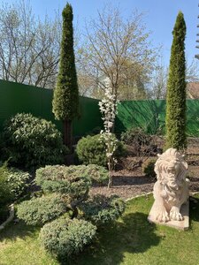 IMG_4273.jpeg