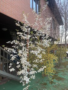 IMG_4295.jpeg