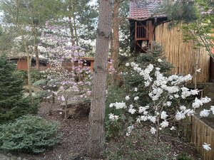 IMG_4293.jpeg