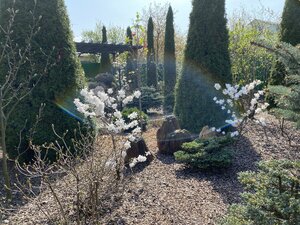 IMG_4312.jpeg