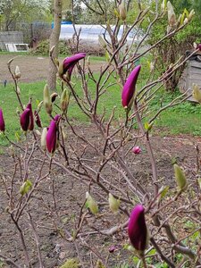 IMG-20250426-WA0088.jpg