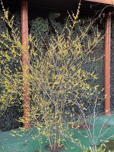IMG_4151.jpeg