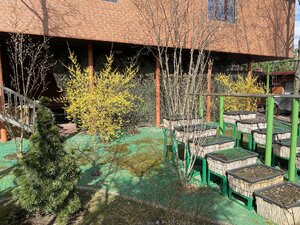 IMG_4218.jpeg