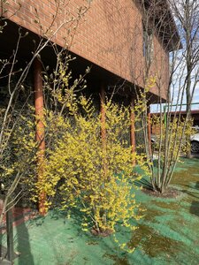 IMG_4224.jpeg