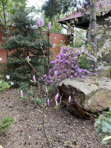IMG_4397.jpeg