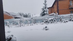 20250502_060303.jpg