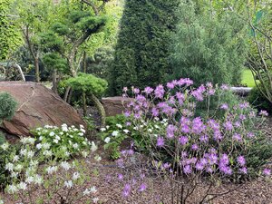 IMG_4582.jpeg