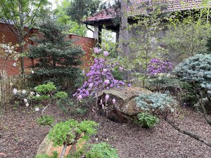 IMG_4461.jpeg