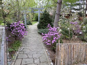 IMG_4395.jpeg