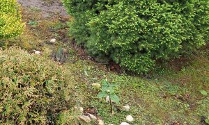 20250519_215037.jpg