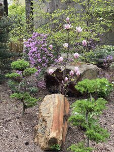 IMG_4509.jpeg