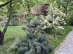 IMG_4636.jpeg