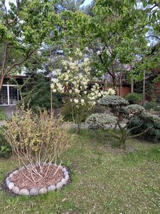 IMG_4563.jpeg
