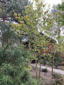 IMG_4637.jpeg