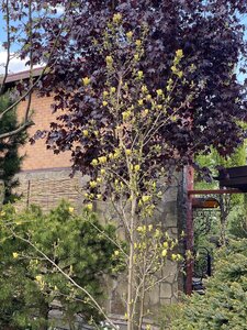 IMG_4580.jpeg