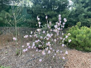 IMG_4471.jpeg